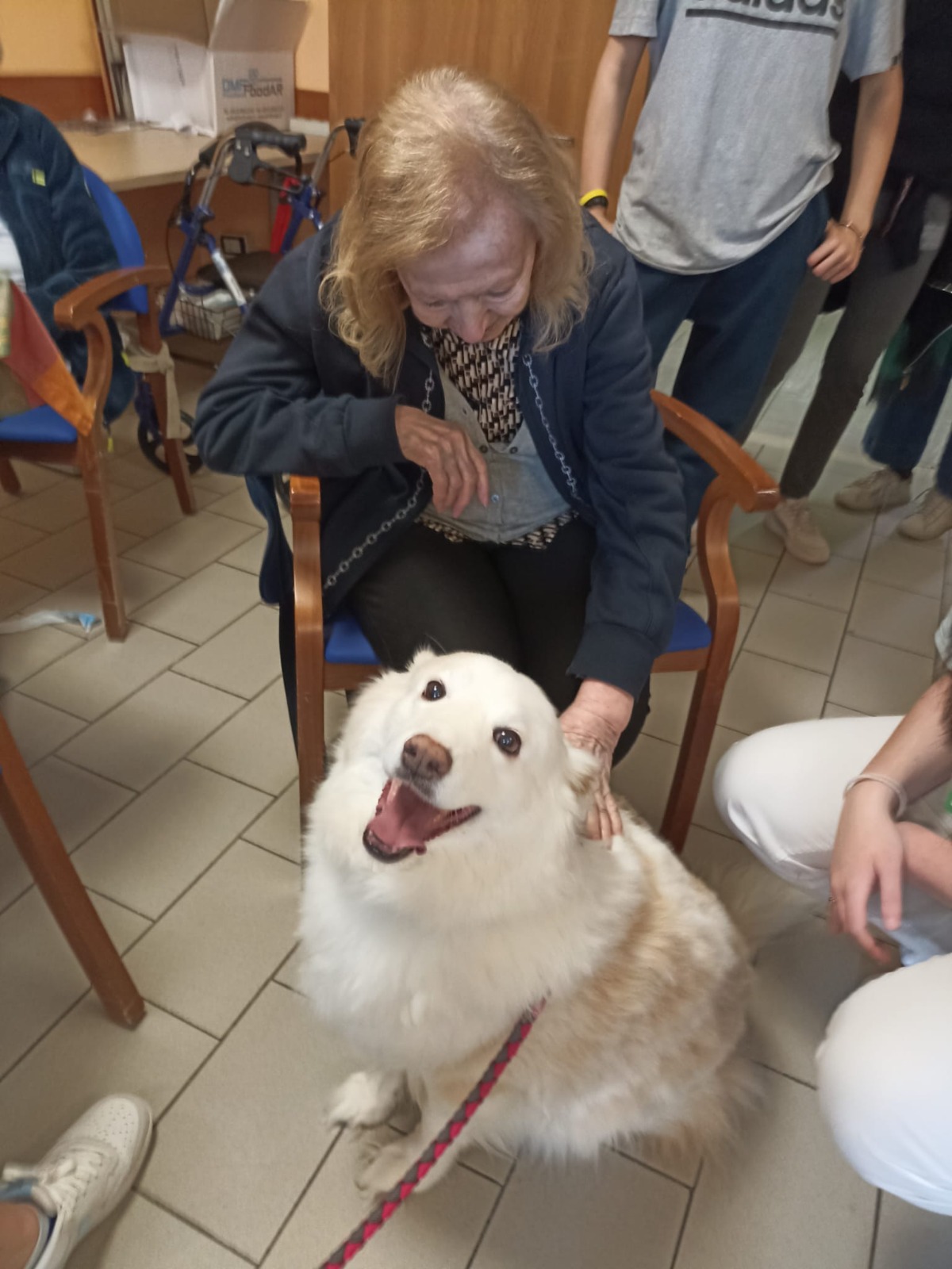 Un Amico a Quattro Zampe Trasforma le Giornate degli Anziani: Hey Porta Sorrisi e Benessere al Beato Pellegrino